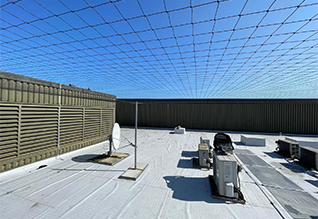 bird control netting and cleaning